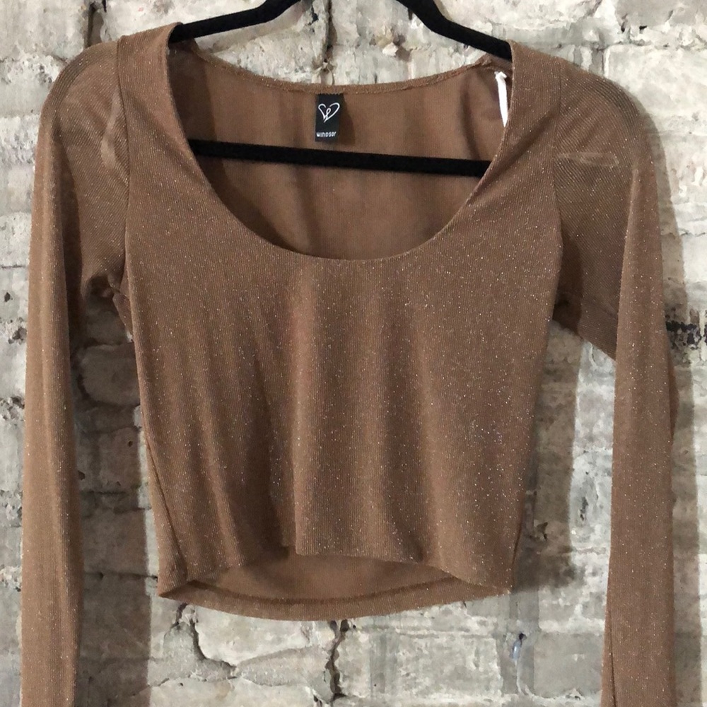 Sparkly long sleeve crop top